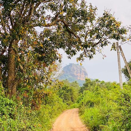Hotel Sigiriya Kele Buitenkant foto