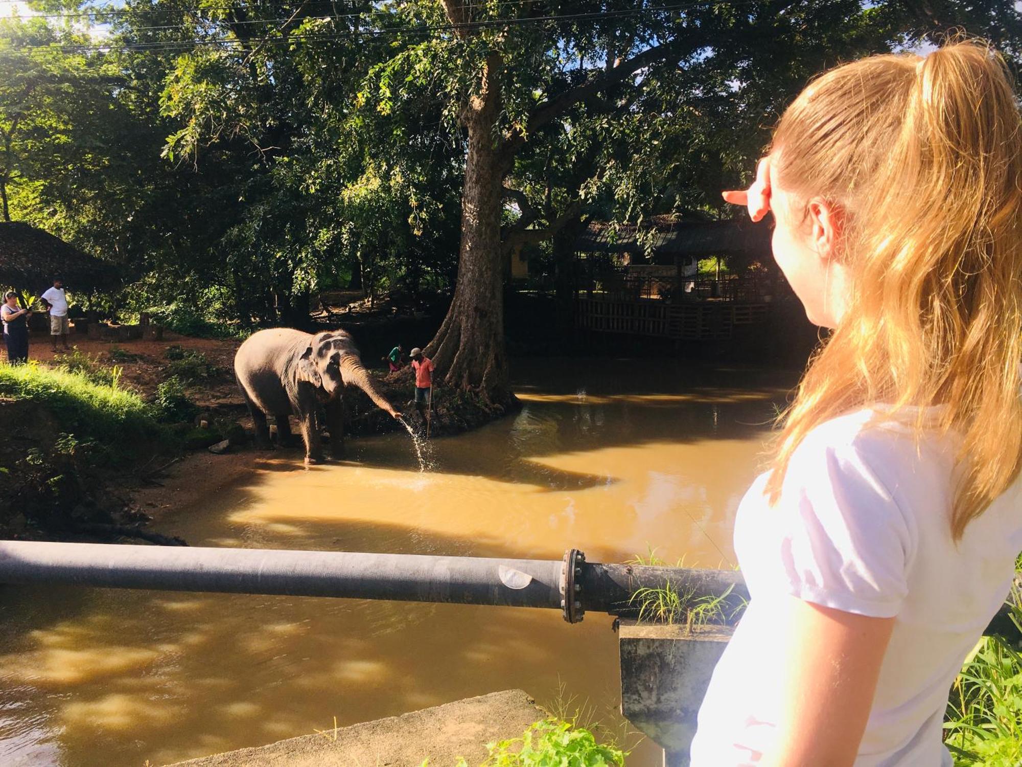 Hotel Sigiriya Kele Buitenkant foto